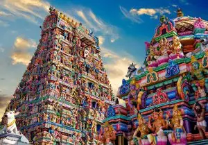 Packers and Movers in Chennai