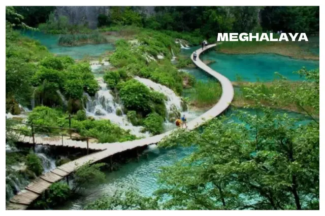 Packers and Movers in Meghalaya