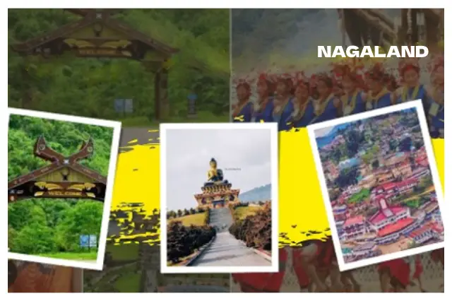 Packers and Movers in Nagaland