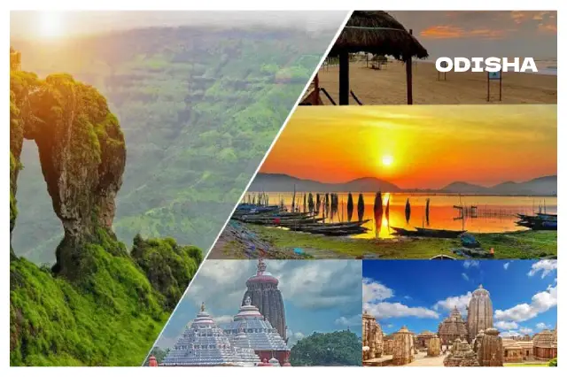 Packers and Movers in Odisha