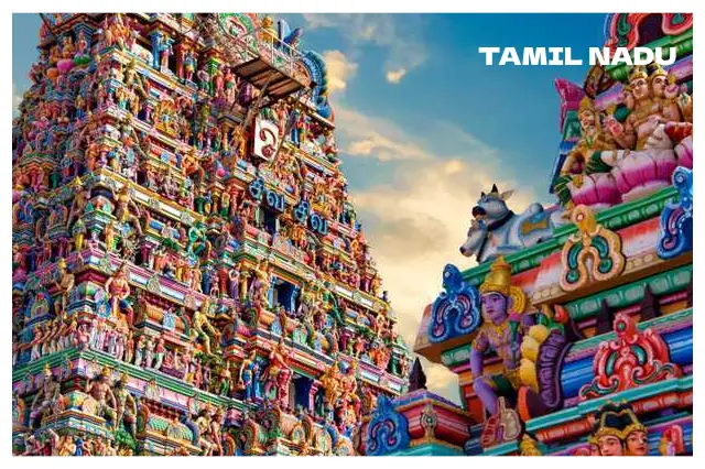 Packers and Movers in Tamil Nadu