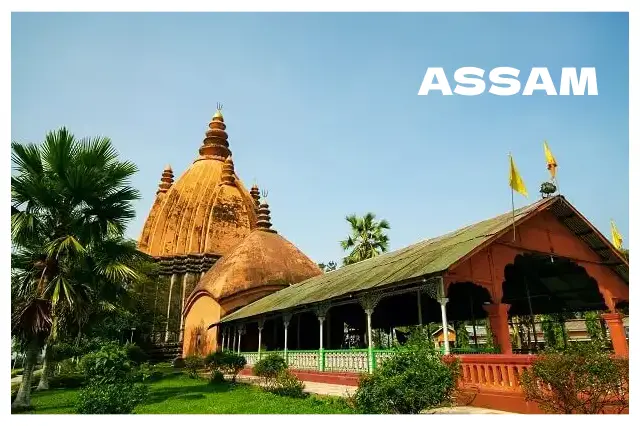 Packers and Movers in Assam