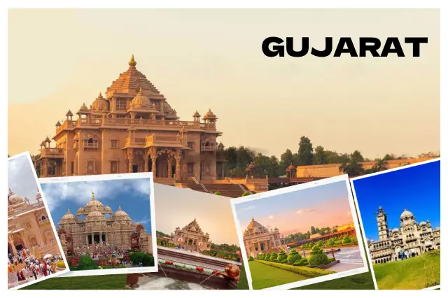 Packers and Movers in Gujarat