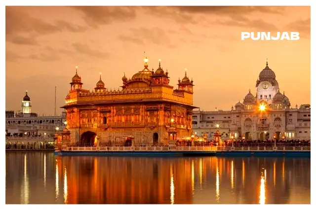 Packers and Movers in Punjab