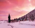 Jammu & Kashmir Packers and Movers
